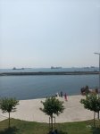 IMG_20220827_123224.jpg