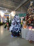 IMG_20221215_123738.jpg