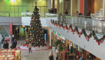 Снимок экрана 2023-12-10 в 22.34.36.png