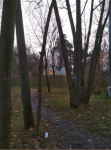 Снимок экрана 2023-12-15 в 21.25.13.png