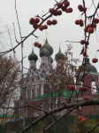 Снимок экрана 2023-12-16 в 20.18.16.png