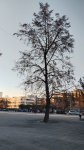 IMG_20241019_170018.jpg