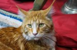 DSC05876.JPG