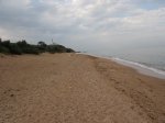 IMG_0087.JPG