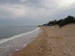 IMG_0085.JPG
