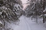 IMG_4677.JPG
