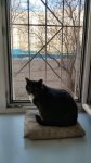 IMG_20250331_075604.jpg