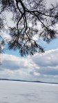 IMG_20250412_130826.jpg