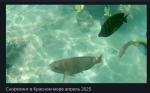 Снимок экрана 2025-05-06 в 9.17.54.png