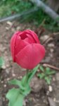IMG_20250517_160329.jpg
