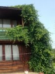 2016-06-30 10-53-08.jpg