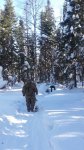 20160222_144847.jpg