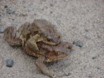 DSC04385.JPG