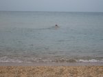 IMG_0127.JPG