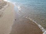 IMG_0138.JPG