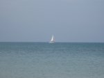 IMG_0142.JPG