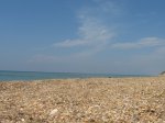 IMG_0143.JPG