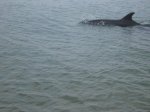 IMG_0187.JPG