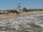 IMG_0100.JPG