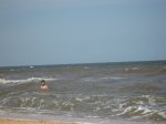 IMG_0113.JPG