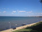 IMG_4264.JPG
