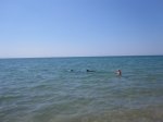 IMG_4313.JPG