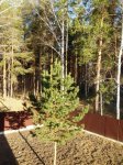 IMG-20160505-WA0006.jpg