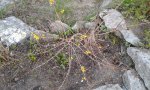 20160516_203810.jpg