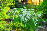 DSC06688.JPG