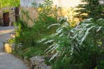 DSC06716.JPG