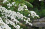 DSC06718.JPG