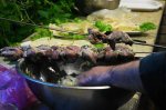 DSC07170.JPG