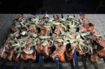 DSC07183.JPG