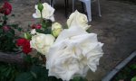 IMG_20160602_182827.jpg