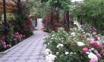 IMG_20160602_183453.jpg