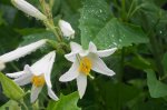 DSC07240.JPG