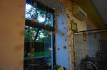 DSC07272.JPG