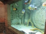 IMG_1704.JPG
