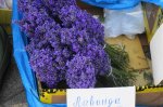 DSC07592.JPG