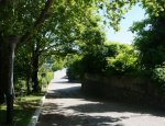 DSC07652.JPG