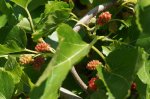 DSC07758.JPG