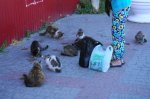 DSC07810.JPG