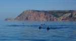 DSC07852.JPG