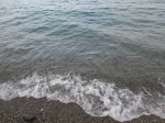 IMG_2729.JPG
