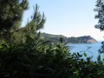 IMG_2336.JPG