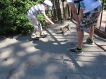 IMG_2485.JPG