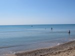 IMG_3589.JPG