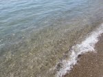 IMG_3623.JPG